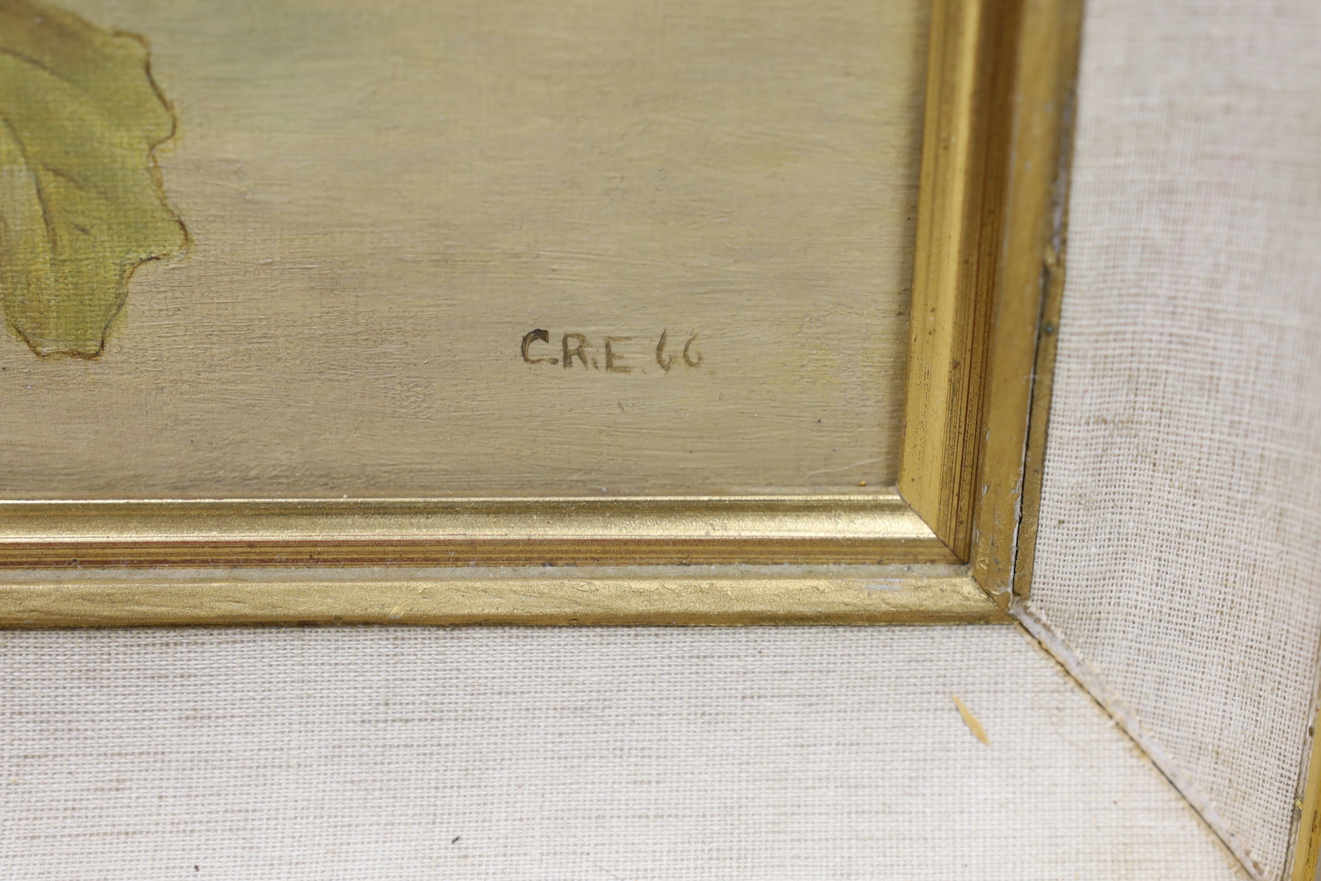 C.R.E. pair of oils on board, Studies of a Green Woodpecker and a Magpie, initialled and dated '66, 38 x 28cm